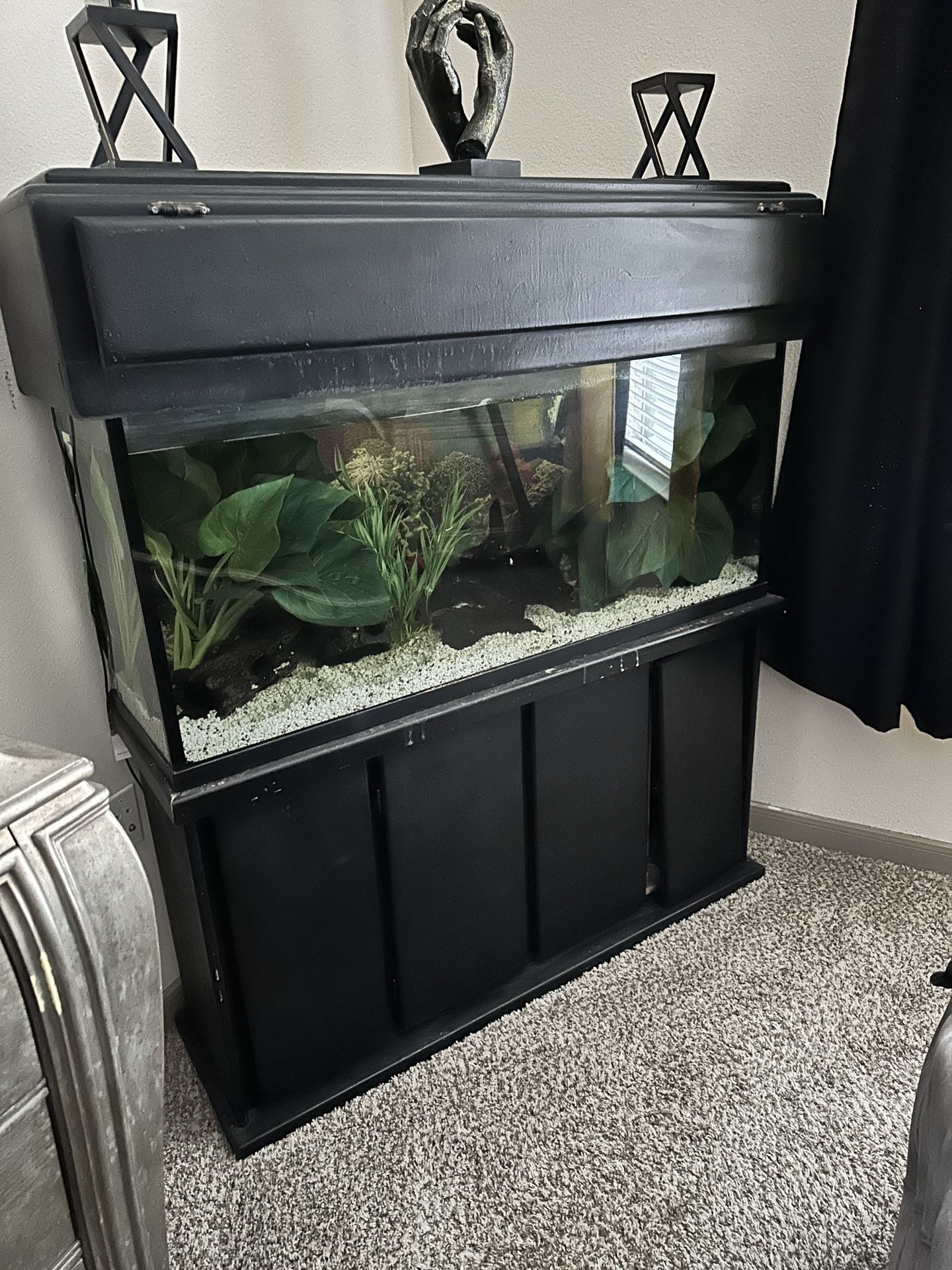 90 Gallon W/ Sump Tank Set Up 