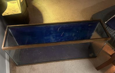 55 Gallon Aquarium