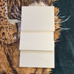 3 Blank Canvases