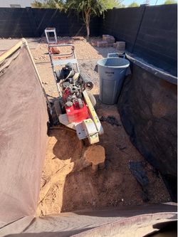 Tree stump grind. SAME DAY