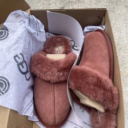 Ugg Slippers