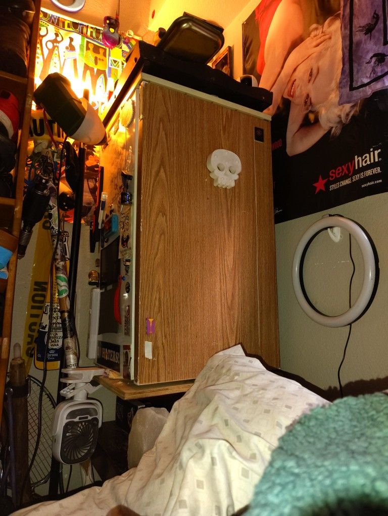 Mini Fridge