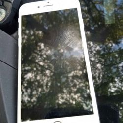 iPhone 6