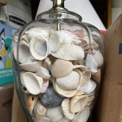 Seashells Lamp