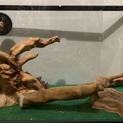 Reptile,  10 gallon tank