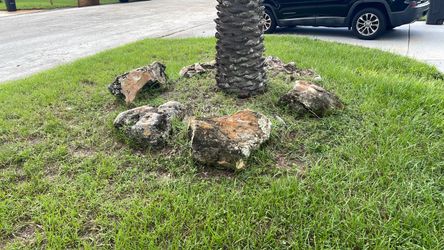 Landscape Rocks