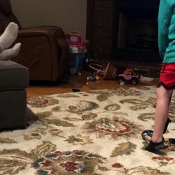 Rugs - 8x10 And - Pet And Smoke Free Home