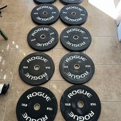 Rogue Echo Bumper Plate Set 260lbs
