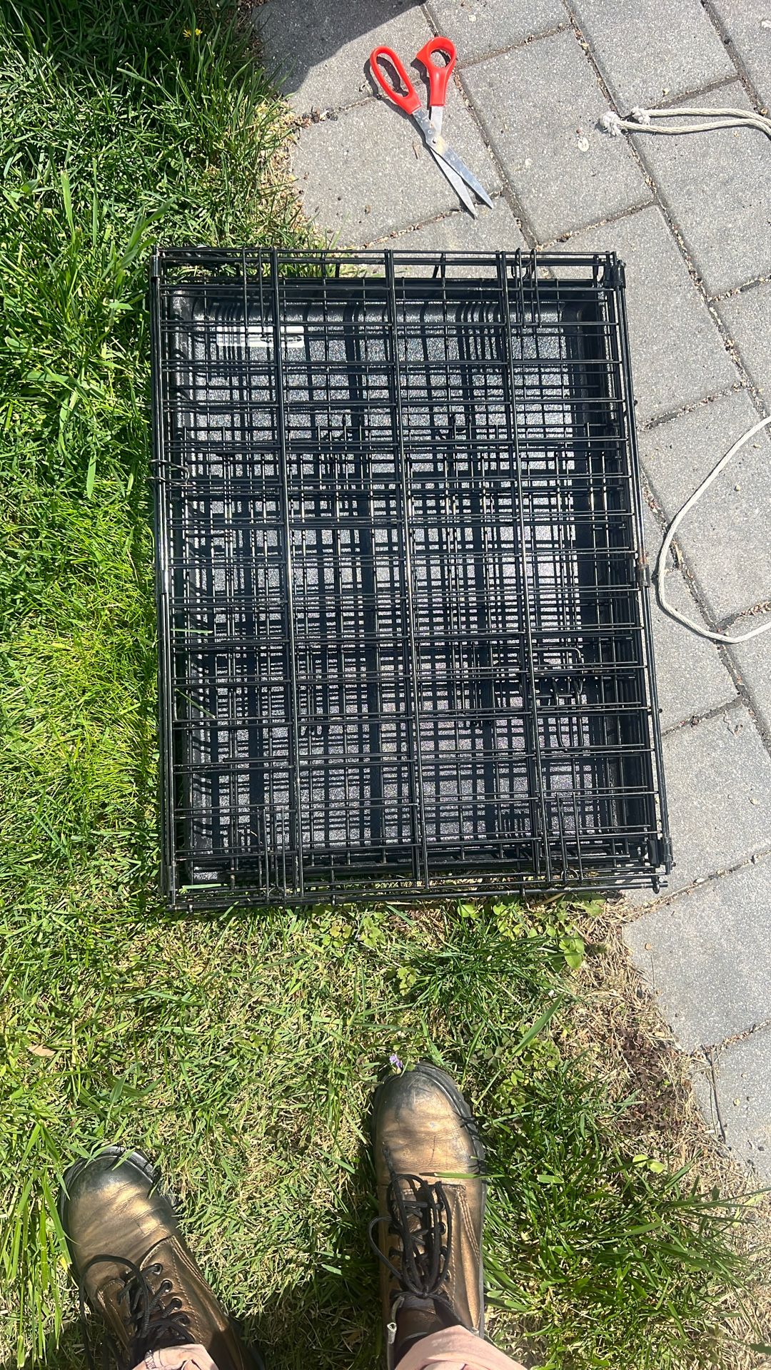 Small Dog/Cat crate ( Used)