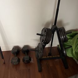 Exercise Weights 