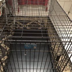 Black One piece collapsible kennel