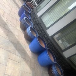 Planters 