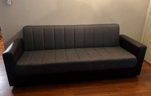 Comfortable Sofa $100