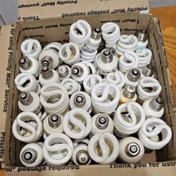 CFL LIGHT BULBS 40 OF THEM 