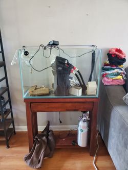 40gal. Rimless aquarium with stand,filter,LED