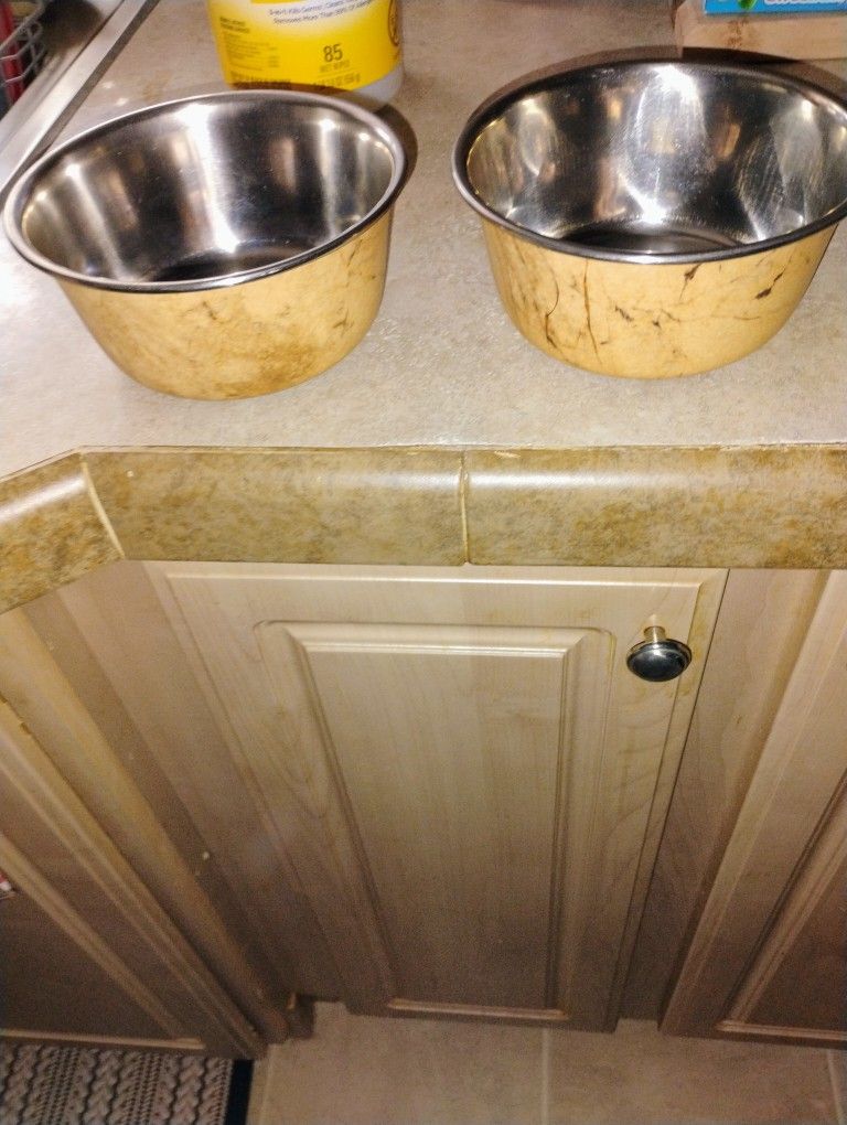 Dog Bowls