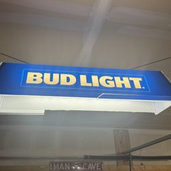 Bud Light Pool Light 