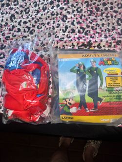 Mario and Luigi costume