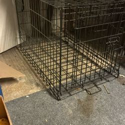 Dog Cage 