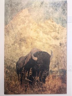 Large buffalo canvas