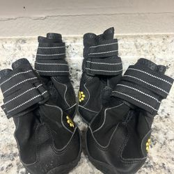 Dog Shoes Size 6