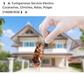 Veneno Para Cucarachas