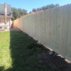 Fence 