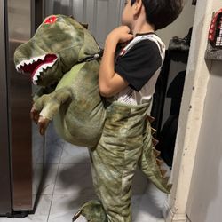 Child Ride a Dinosaur Costume