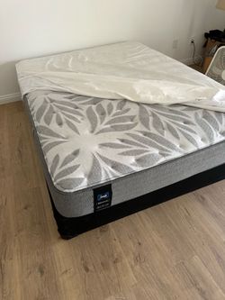 Sealy Full Mattress