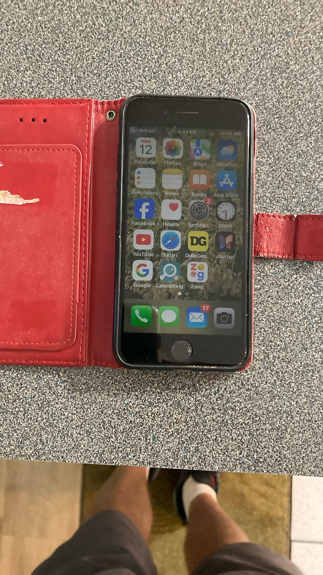 iPhone 6 SE