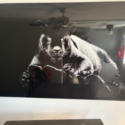 Glass Picture 