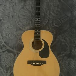 Acoustic Guitar 