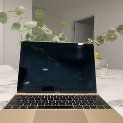 MacBook 2016 Rose gold 