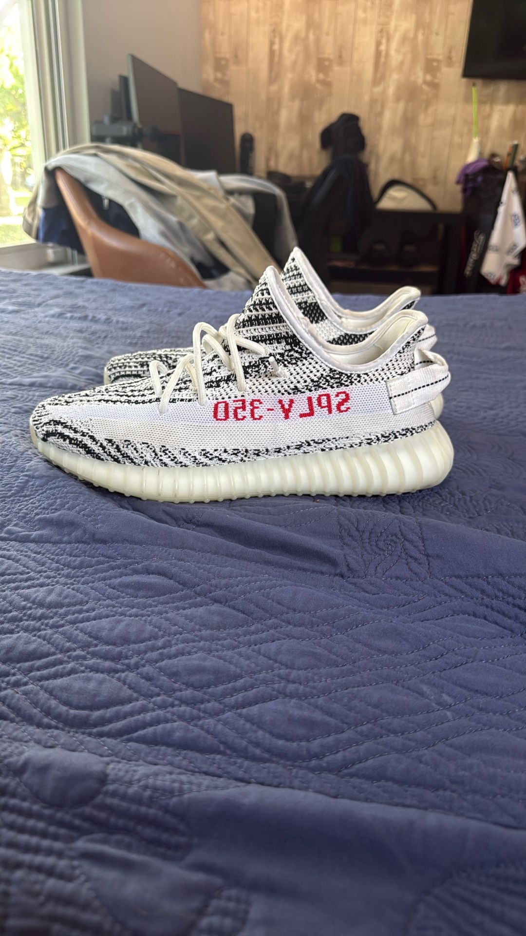 Yeezy Zebra