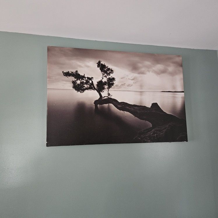 Canvas Black And White Photo