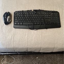 Mouse and Keyboard Combo