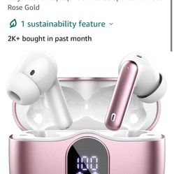 Wireless Earbuds 