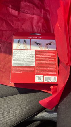 Nintendo switch two controllers