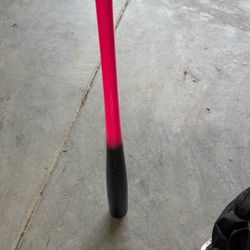 Wooden Baseball Bat