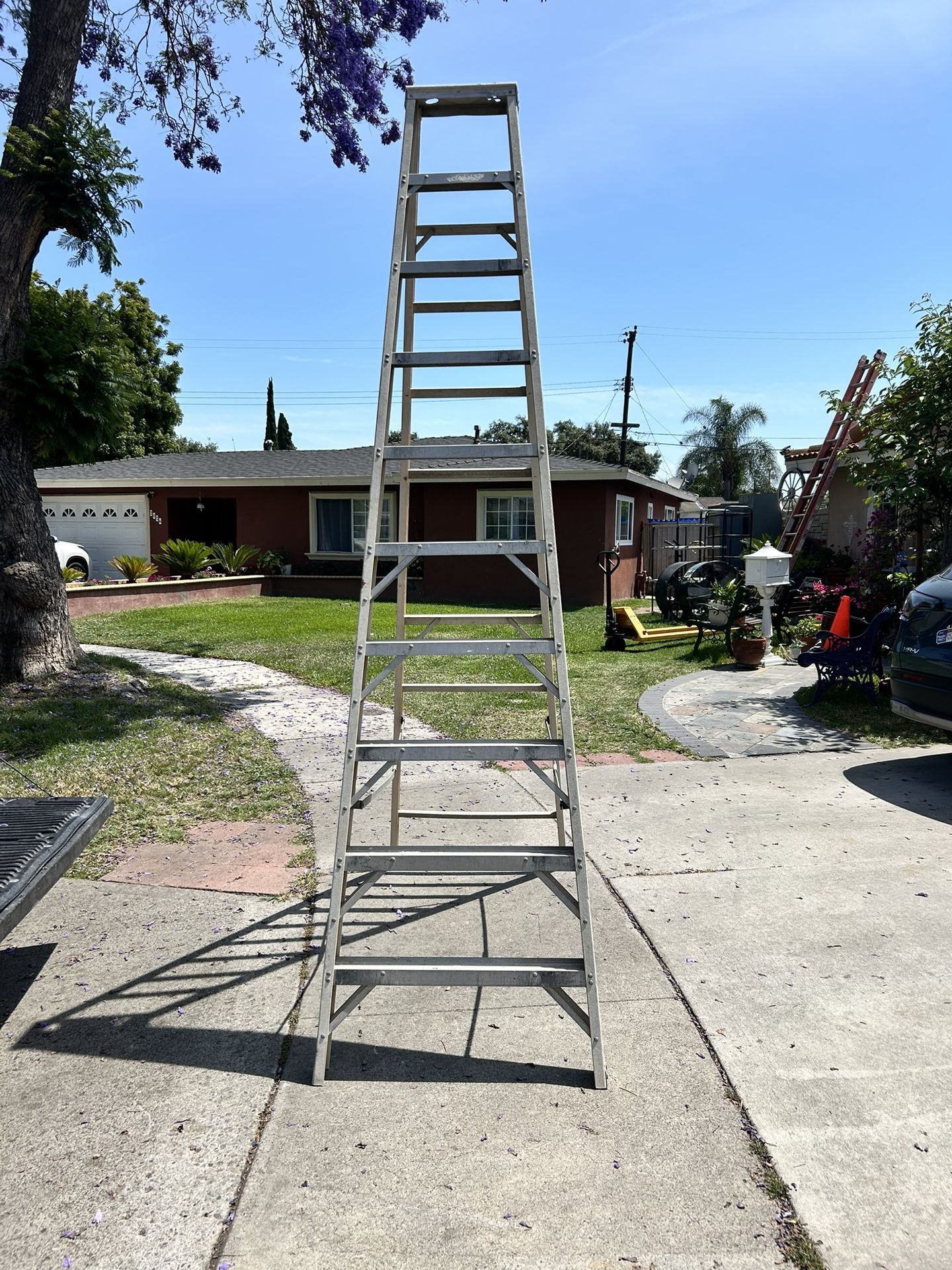 Ladder 10 Ft