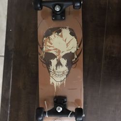 2 brand new Skateboards still in plastic from 2007