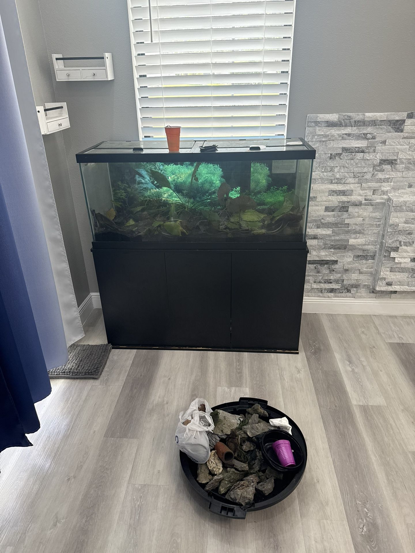 75 Gallon Tank
