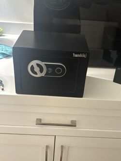 biometric Safe