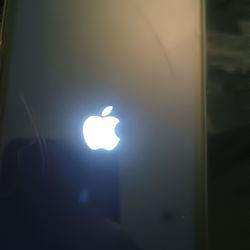 iPhone 8
