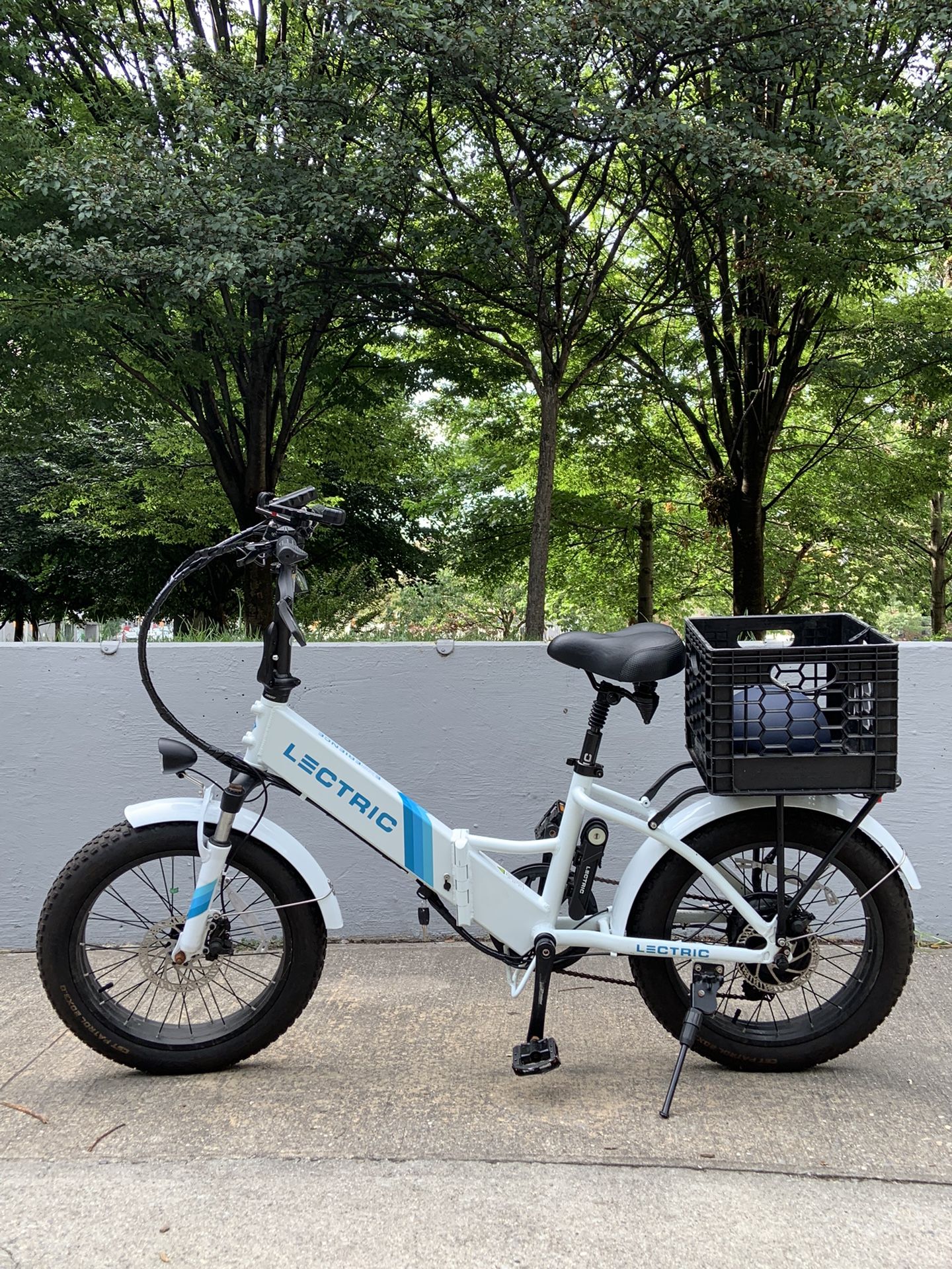 Foldable Lectric XP 2.0 Step-Thru w/ Accessories