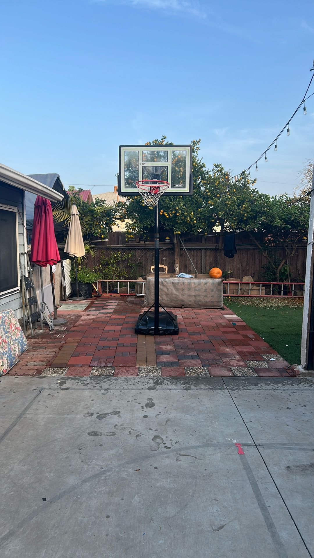 Basketball Hoop