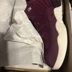 New Kids Jordan 12s Size 12c