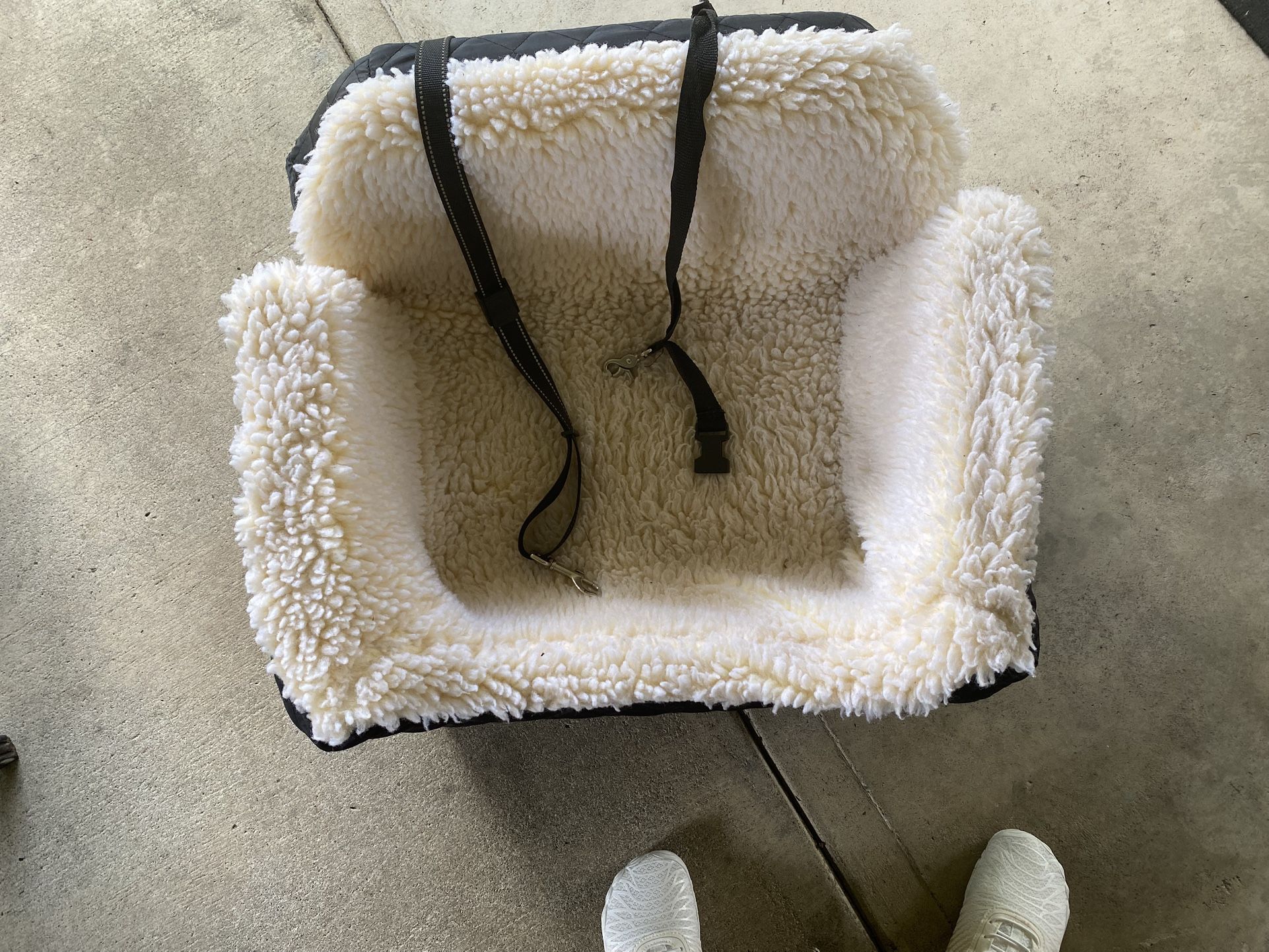 Dog Car Seat