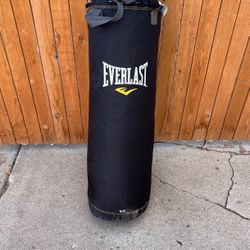 Everlast Punching Bag 