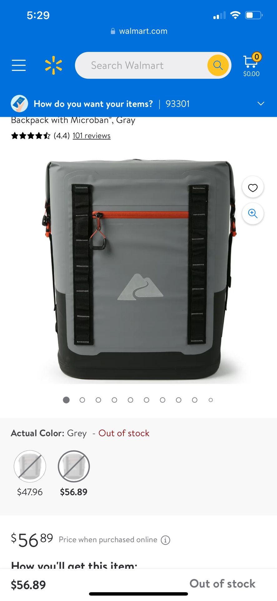 Backpack Cooler